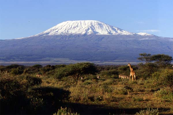 Kilimajaro